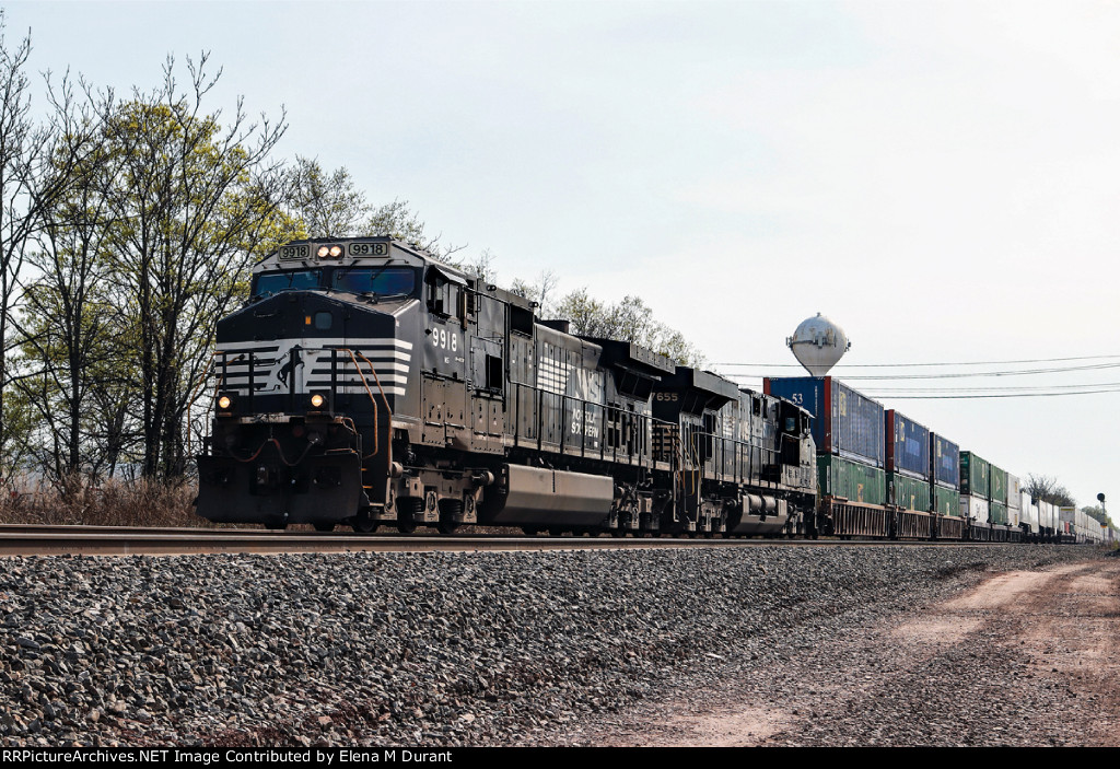 NS 9918 on 28X